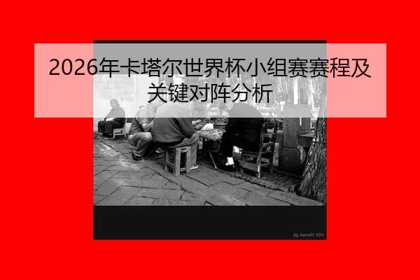 nian-ka-ta-er-shi-jie-bei-xiao-zu-sai-sai-cheng-ji-guan-jian-dui-zhen-fen-xi-2-411.jpg